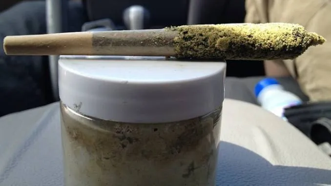 21087 cannabis quality