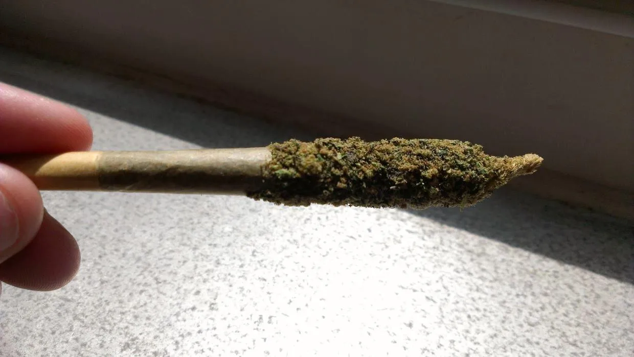 21087 tarantula joint price