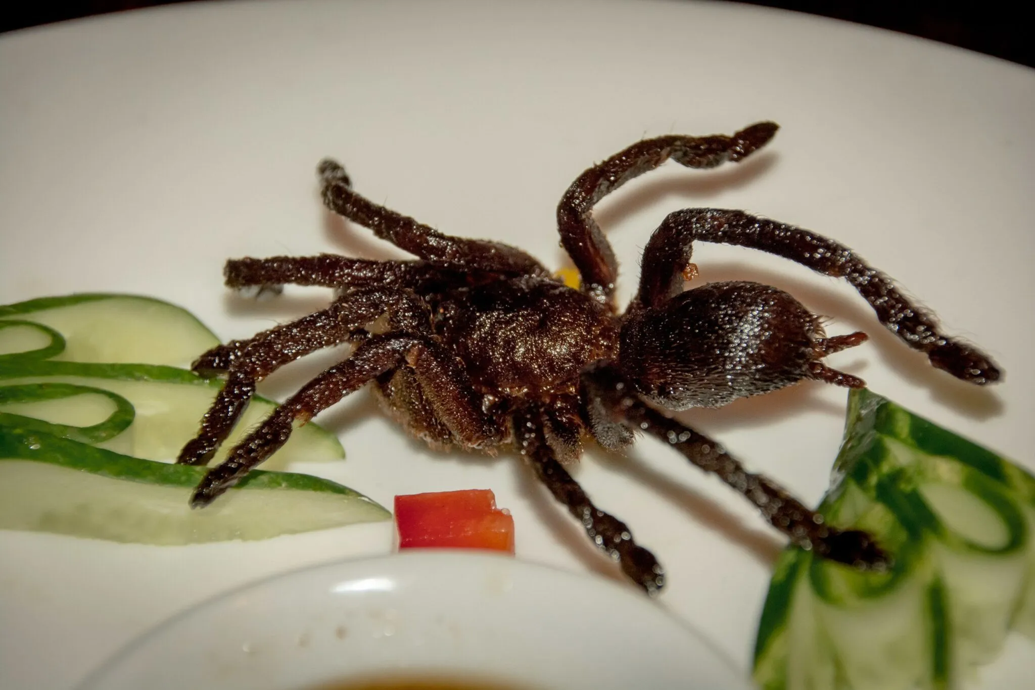 21089 tarantula legs soup