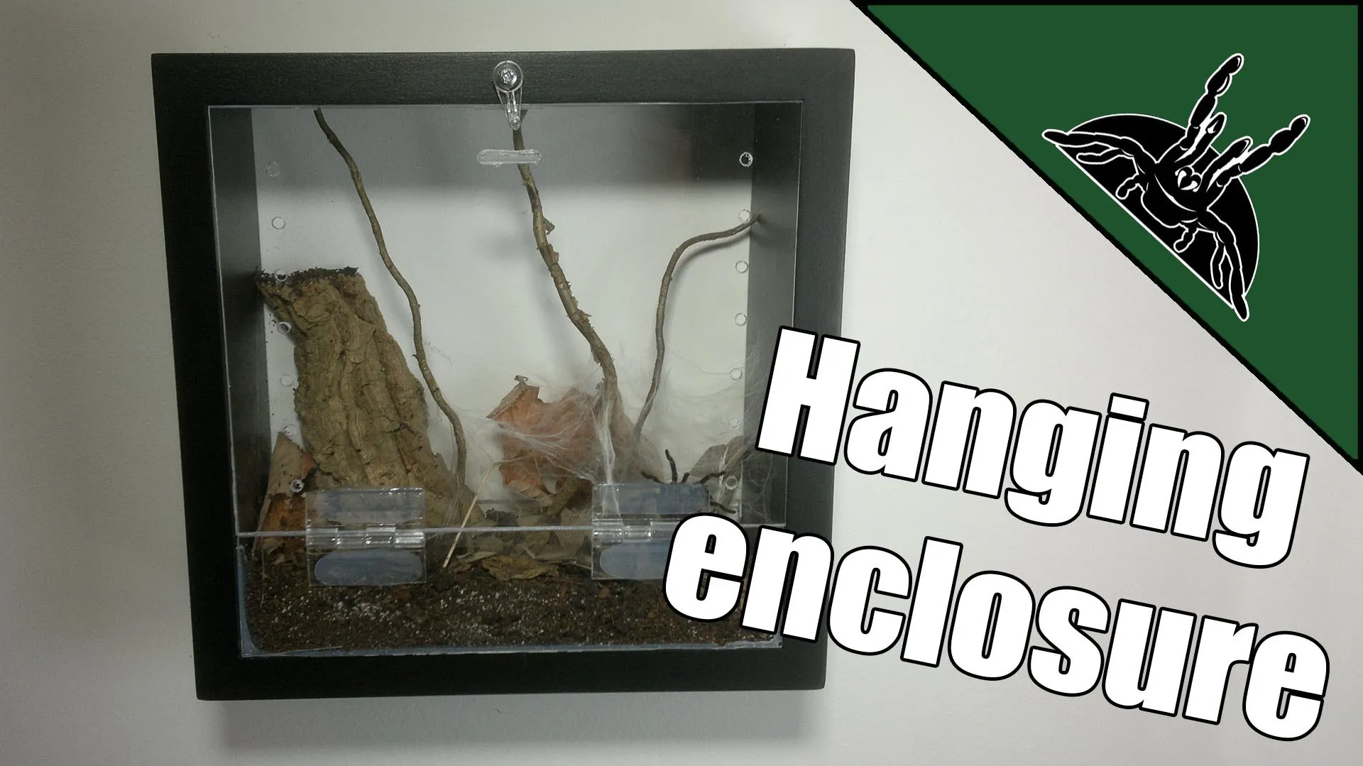 21103 glass vs acrylic terrarium