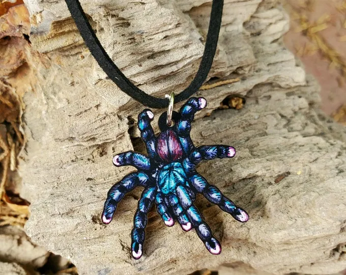 21116 healthy tarantula