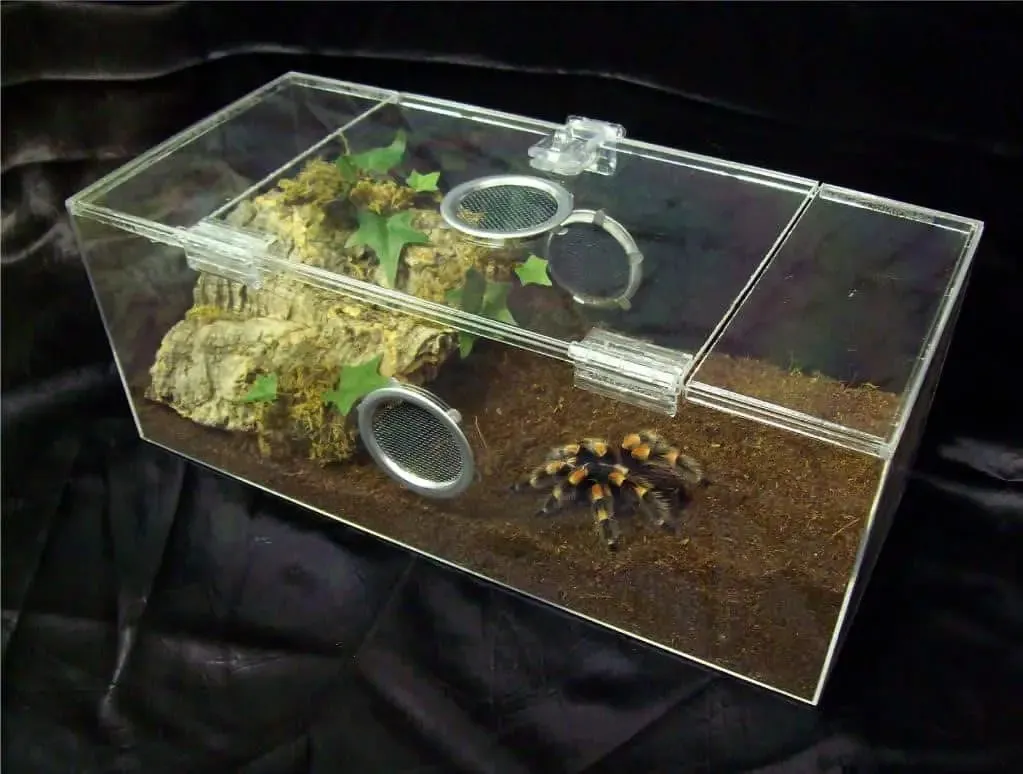 21127 tarantula enclosure size