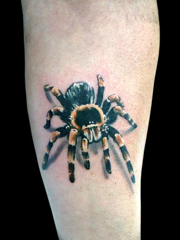 21130 tarantula versuri culture