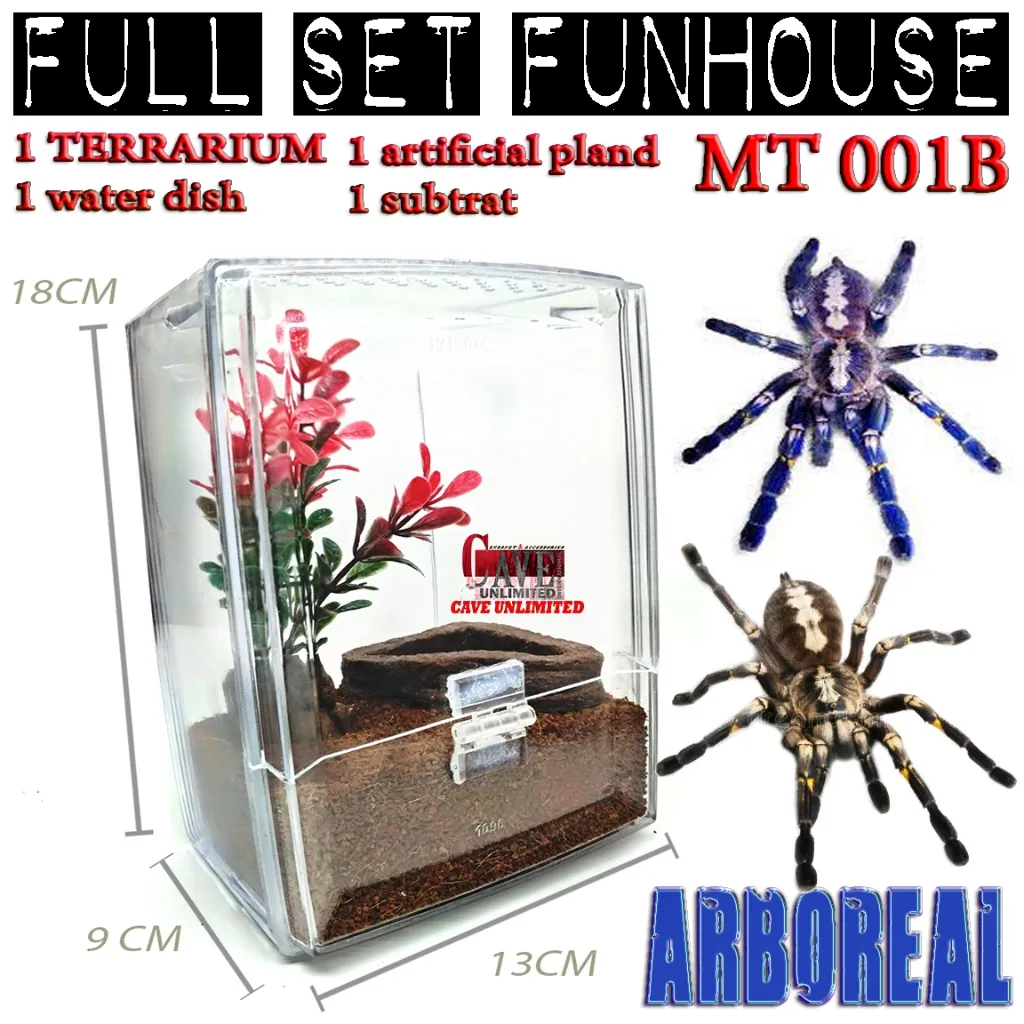 /img/21159-casa-tarantula-productores-additional-services.webp