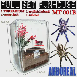 /img/21159-casa-tarantula-productores-additional-services.webp