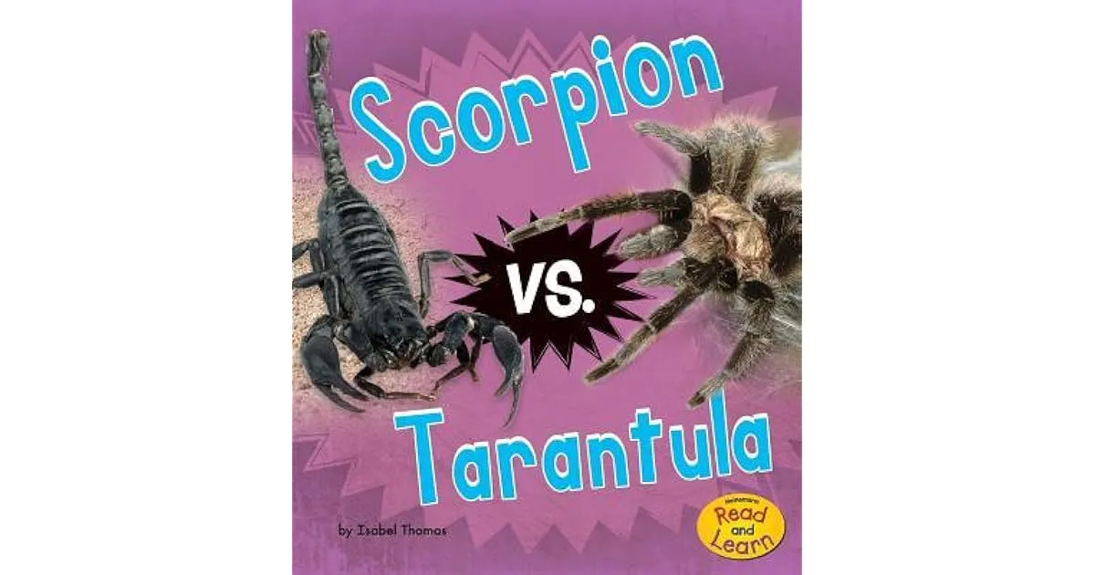/img/21162-scorpion-defense.webp