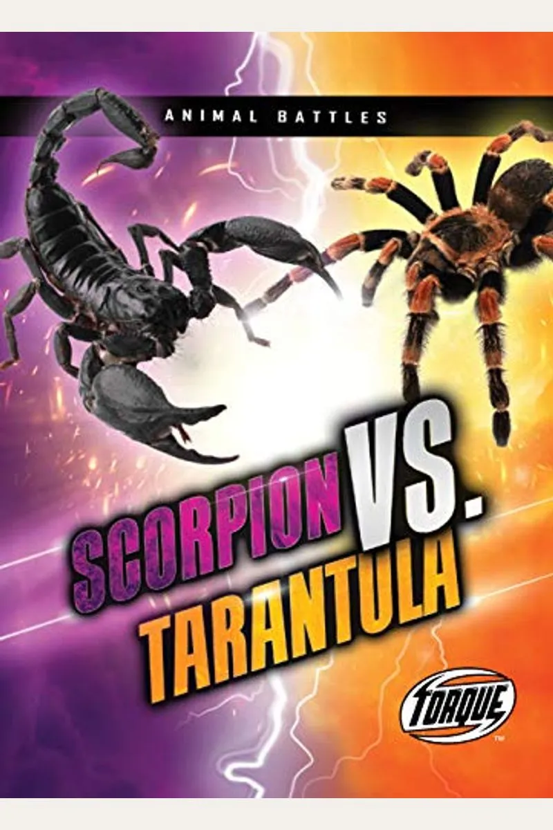 21162 scorpion hunting