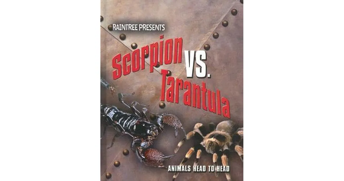 21162 tarantula hunting