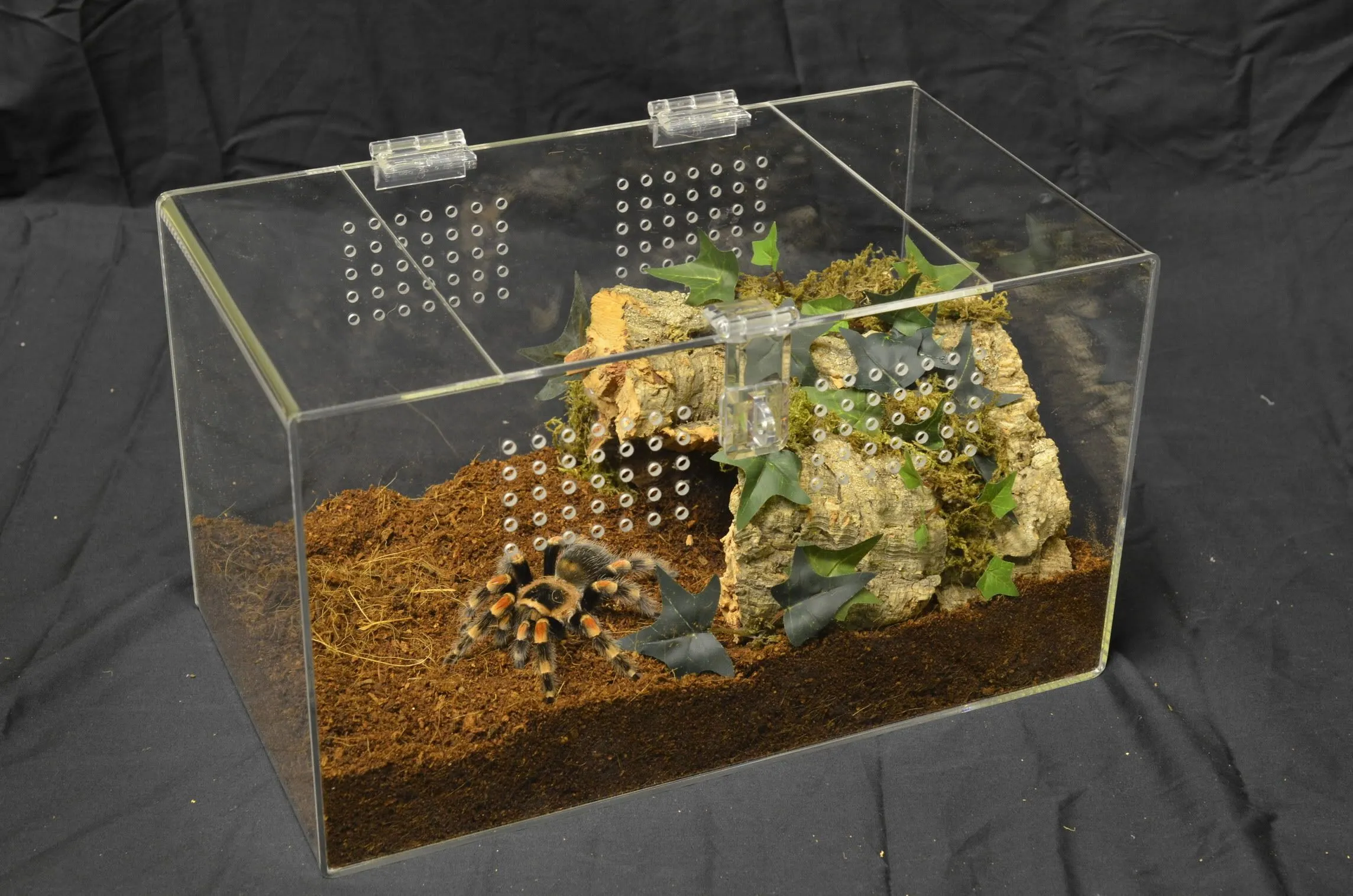 21165 enclosure model 1