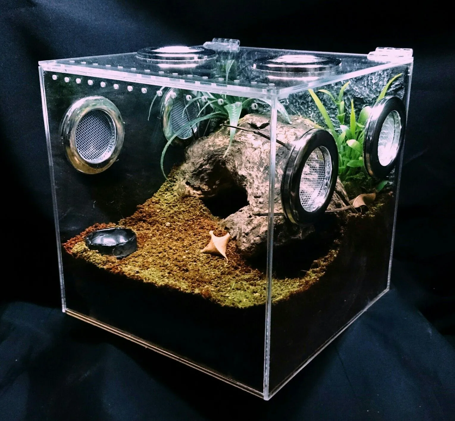 21165 tarantula enclosure maintenance