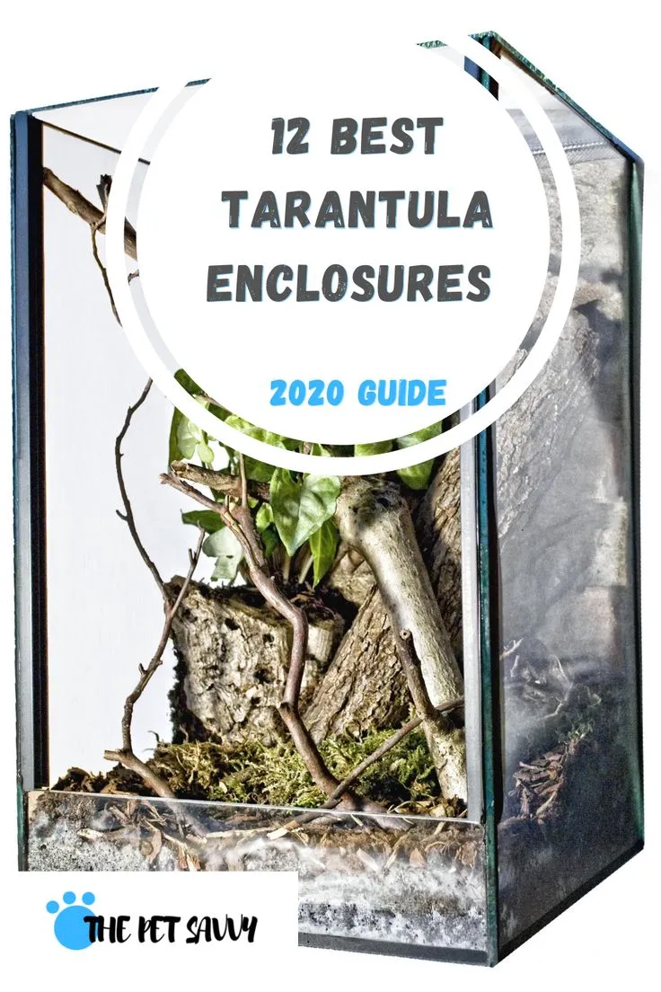 21165 tarantula enclosure overview