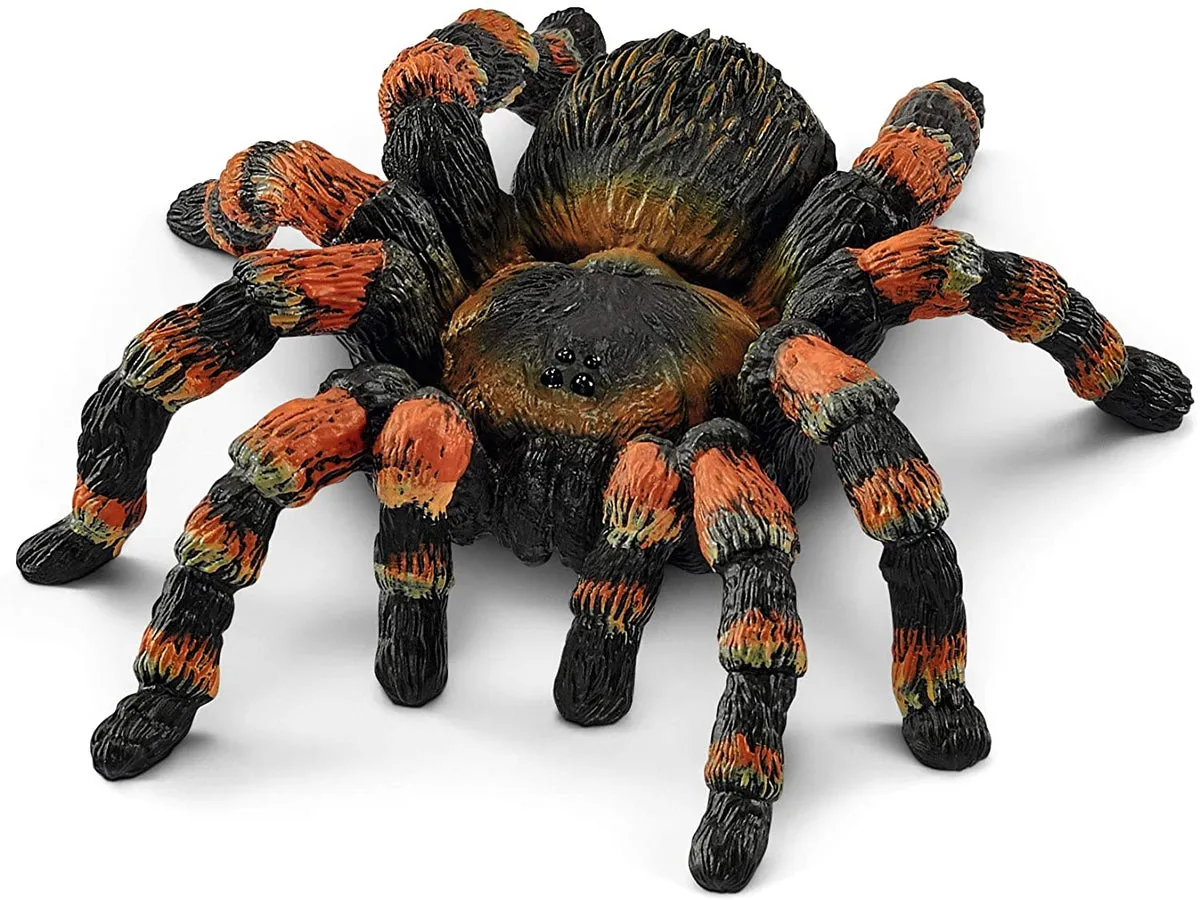 21185 tarantula species