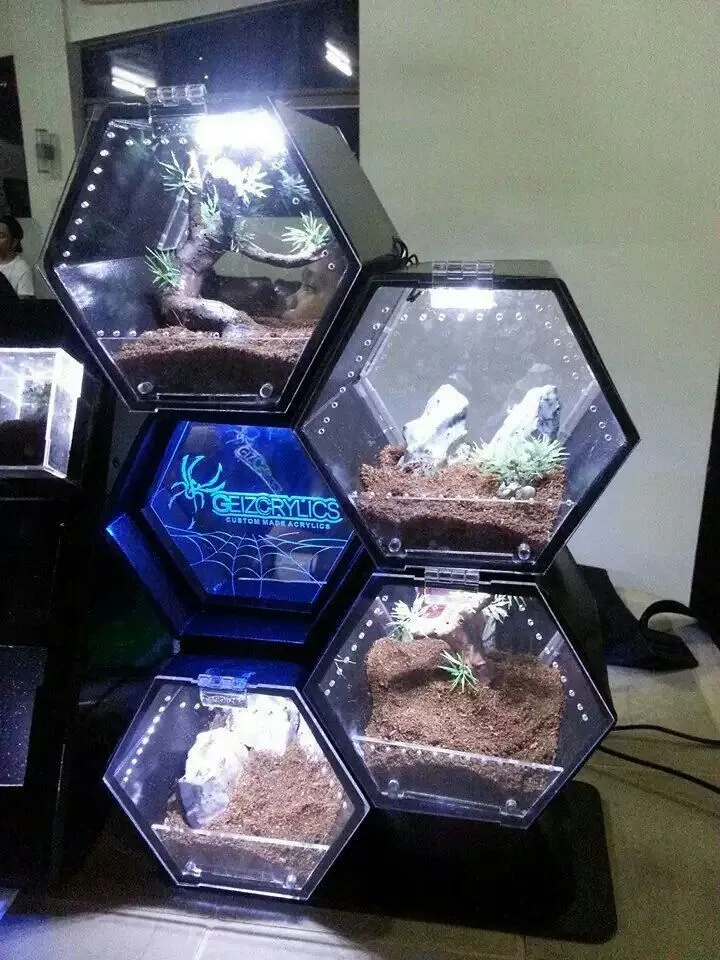 21191 tarantula enclosure setup