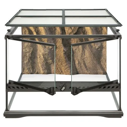 21191 tarantula species enclosure