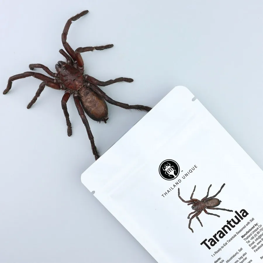 21193 frying tarantula