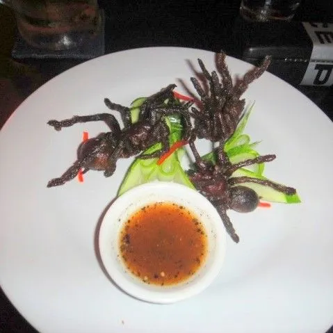 21193 roasted tarantula