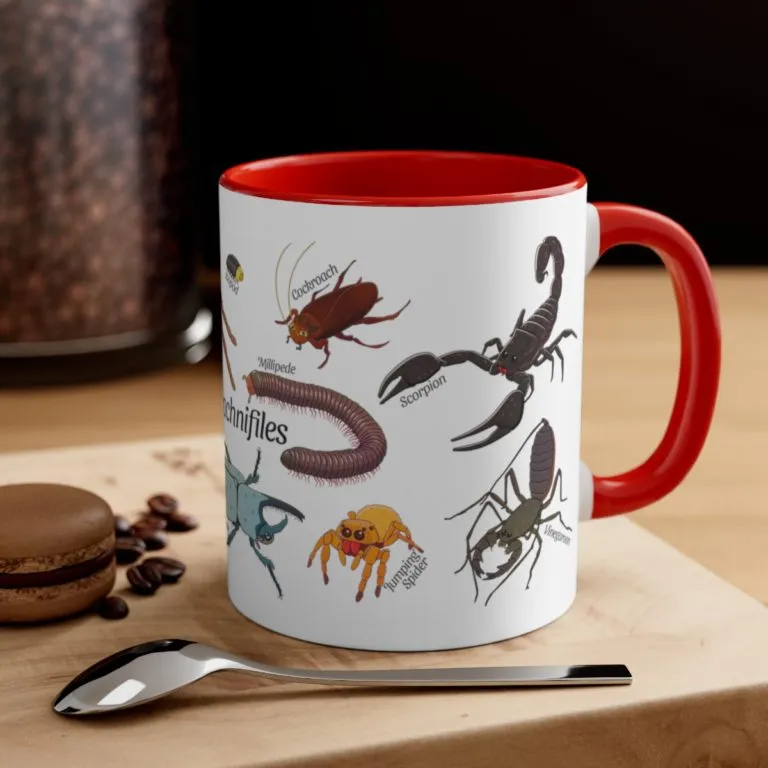 /img/21193-tarantula-market.webp
