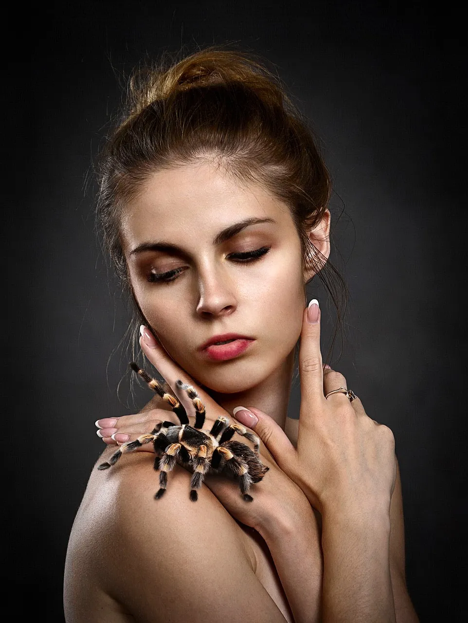 21194 tarantula girl habitat