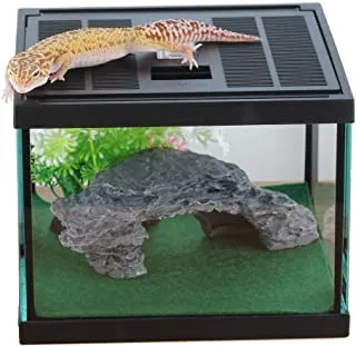 21200 best tarantula enclosure 2