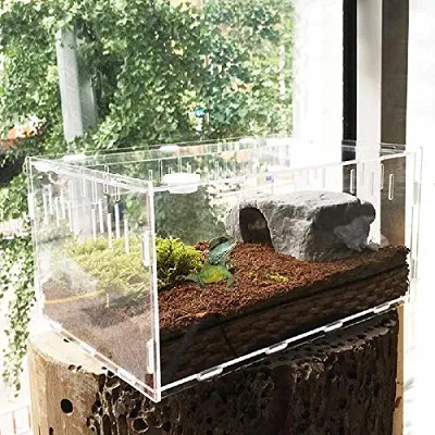 21200 tarantula enclosure setup