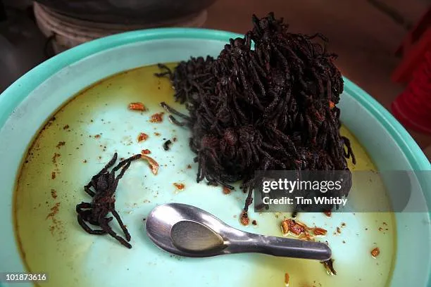 /img/21203-choosing-tarantula.webp