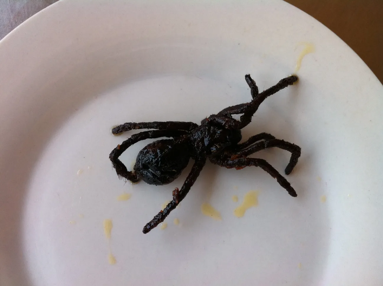 21203 plated fried tarantula