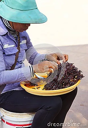 21203 preparing tarantula