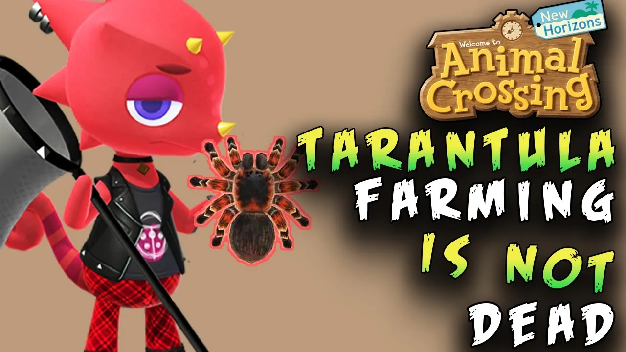 21231 mature male tarantula