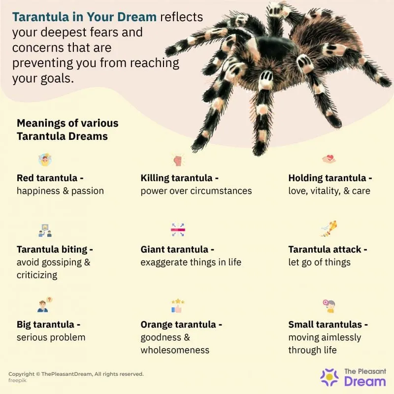 21238 tarantula fear interpretation