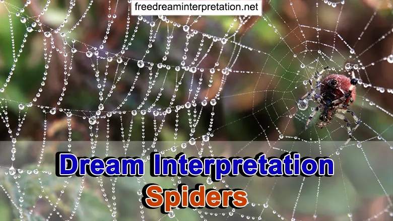 21238 tarantula spider dream