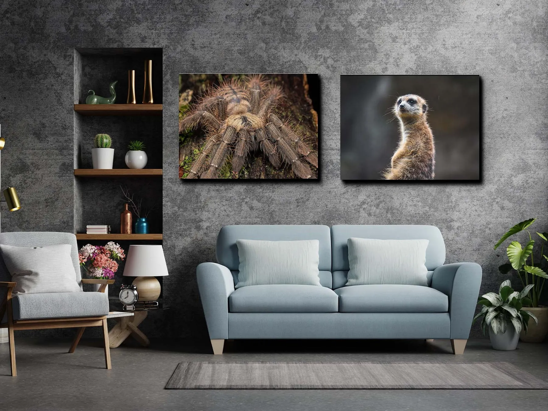 21243 malayan tiger tarantula mite infestation