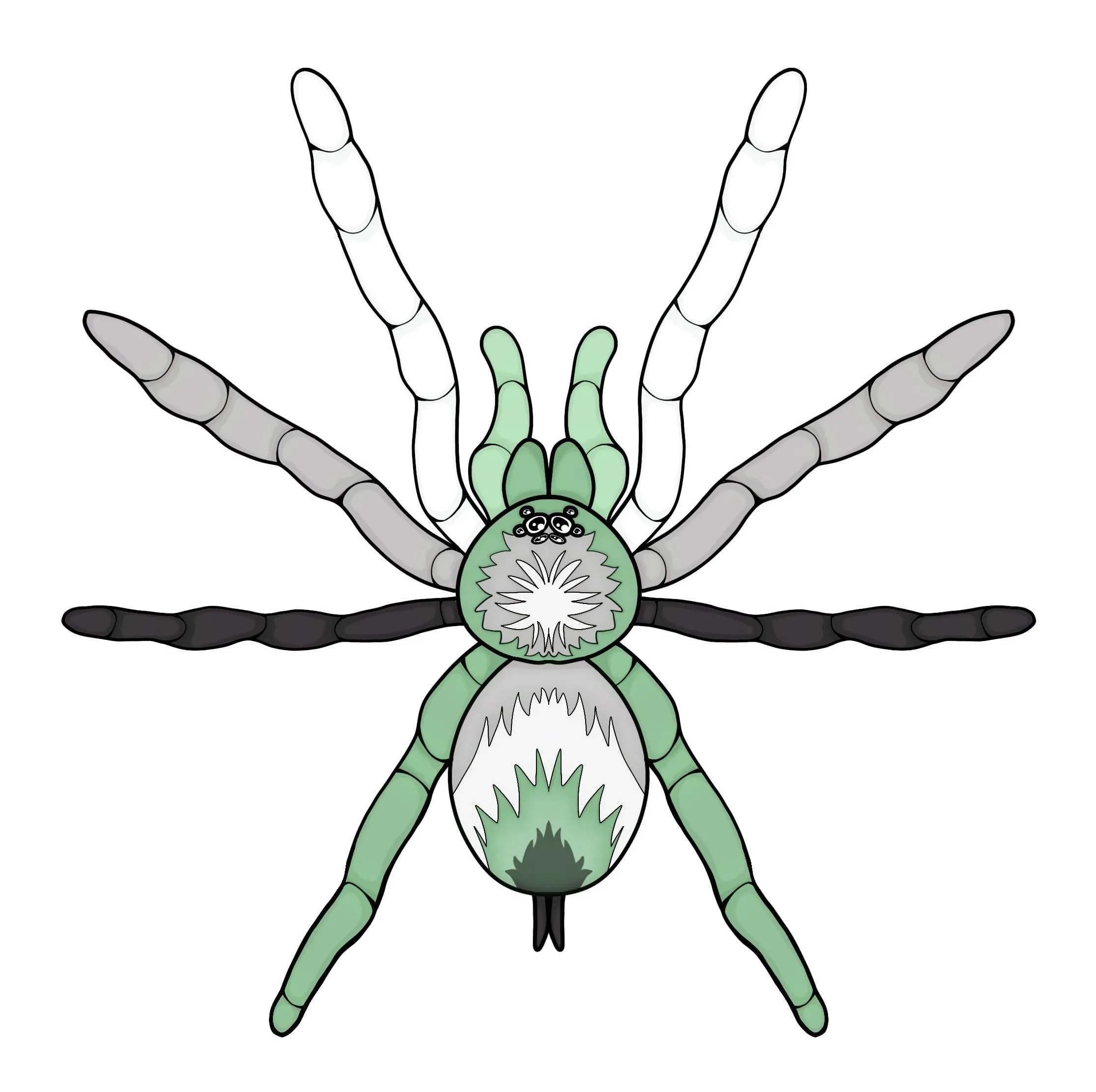 21244 tarantula bite redness