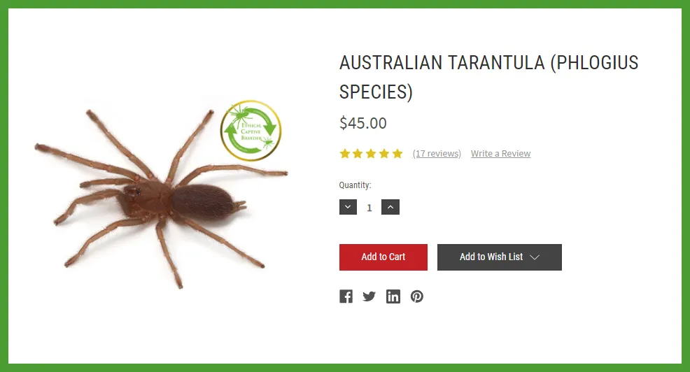 21251 tarantula ireland online