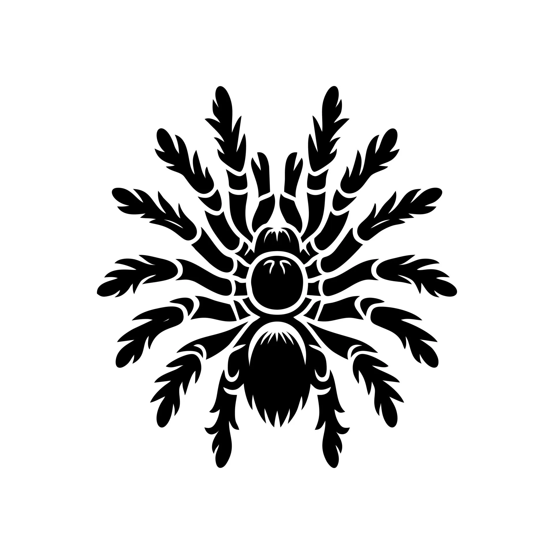 21256 tarantula ganjagold sketching