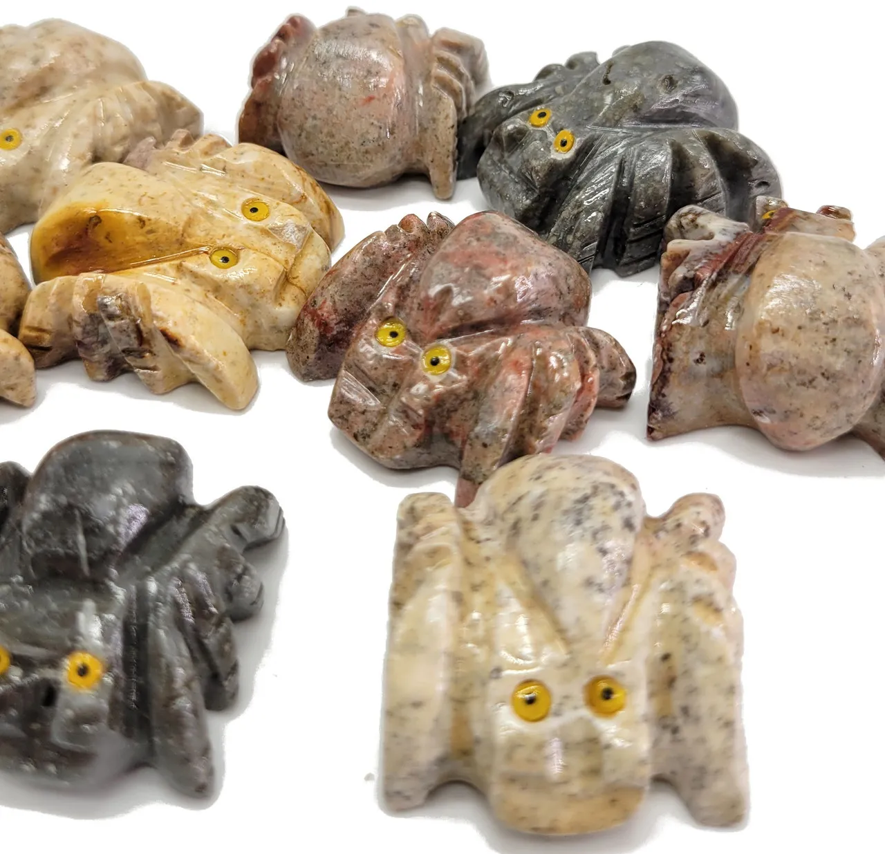 21269 tarantula hunting