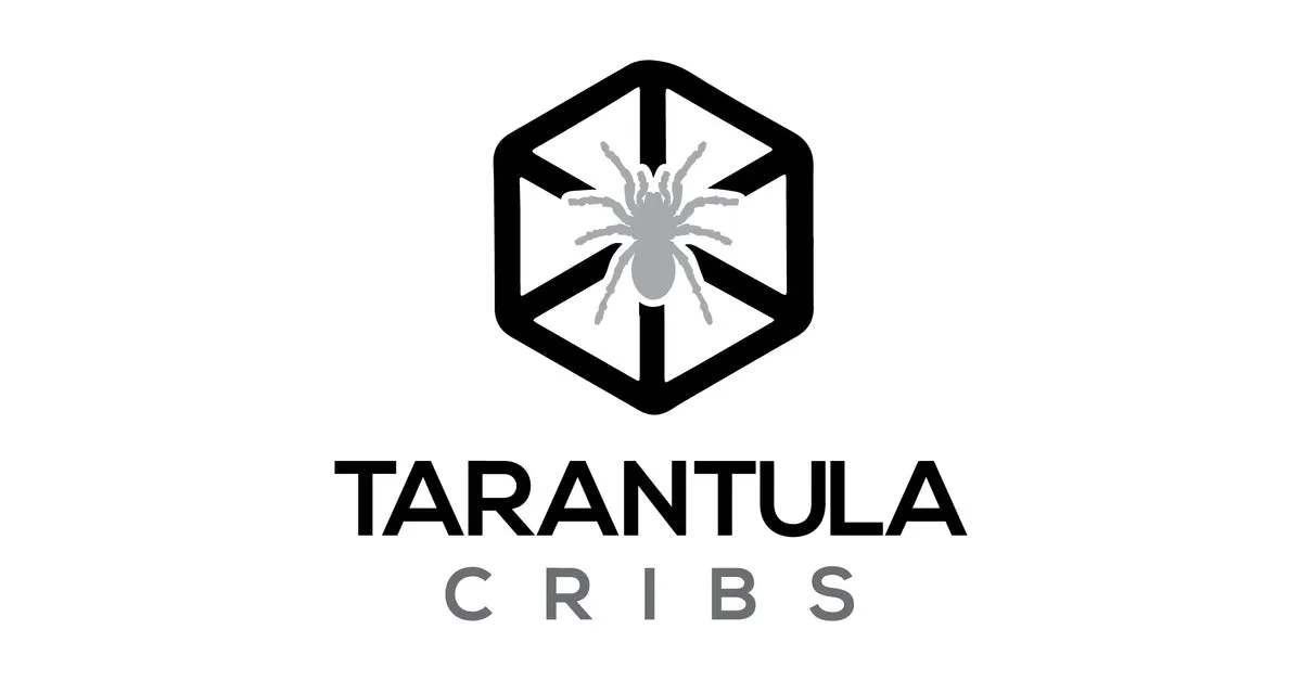 21289 costa rican zebra tarantula handling