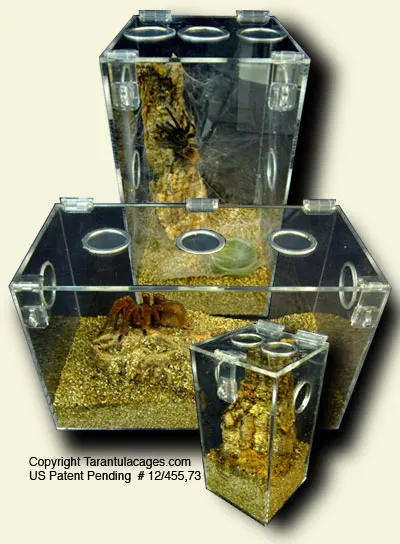 21301 acrylic tarantula cage overview