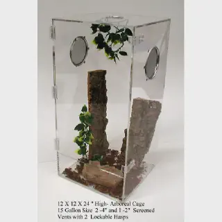 /img/21301-cleaning-acrylic-tarantula-cage.webp