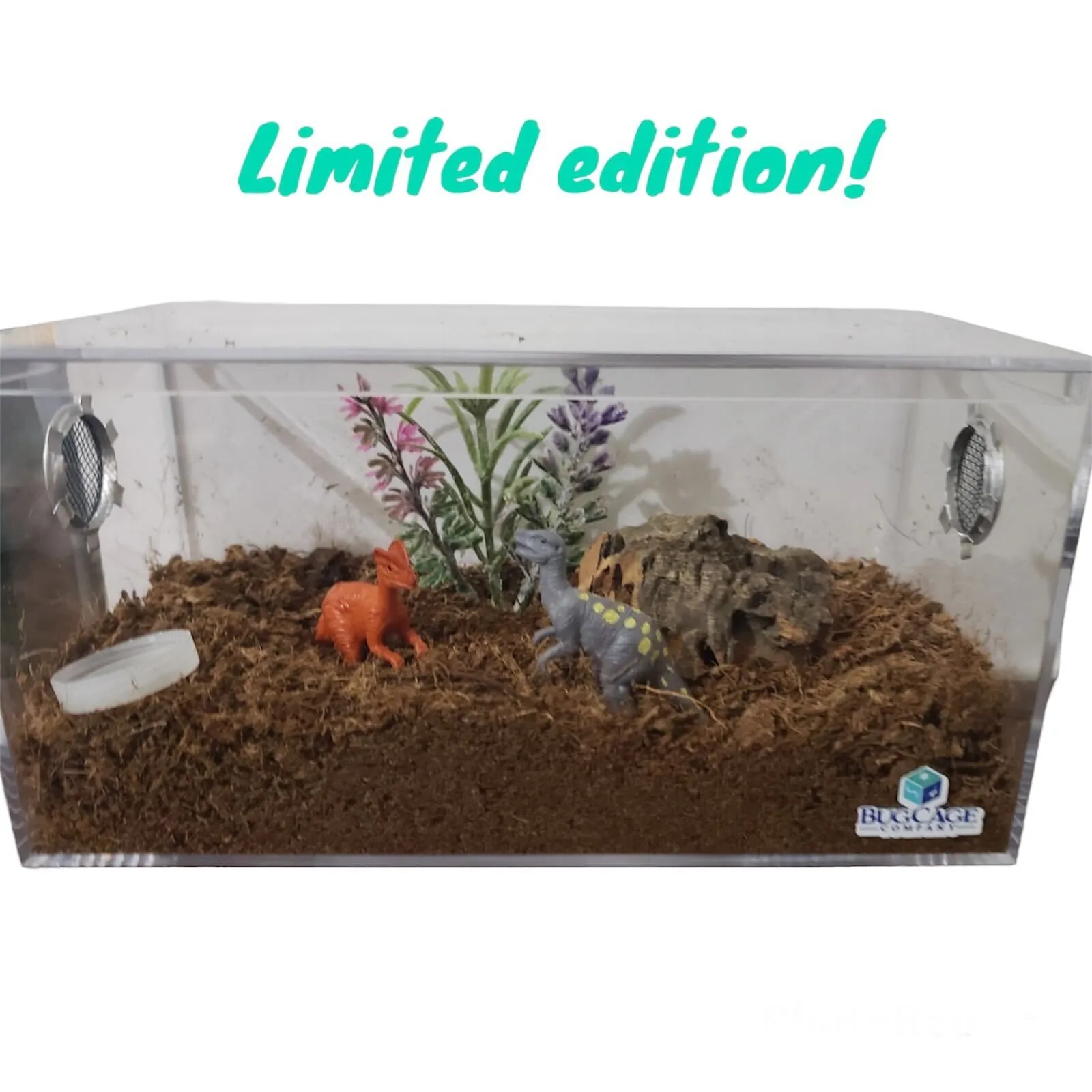21301 secure lid tarantula cage