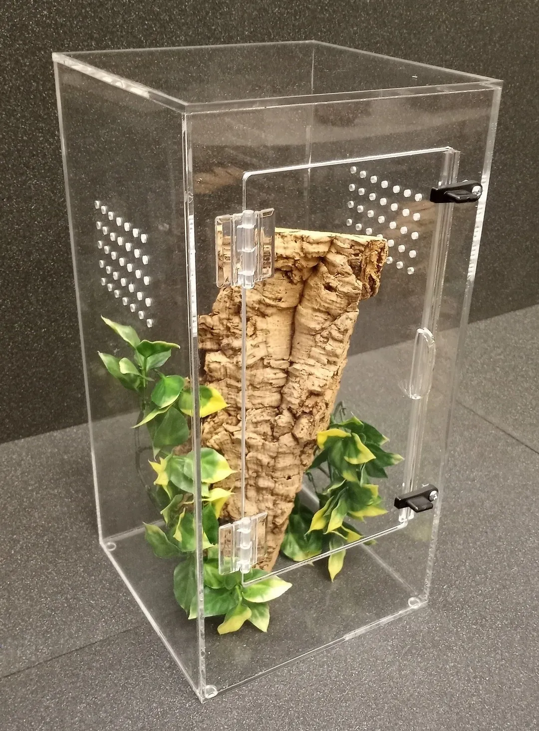 21301 tarantula cage decor