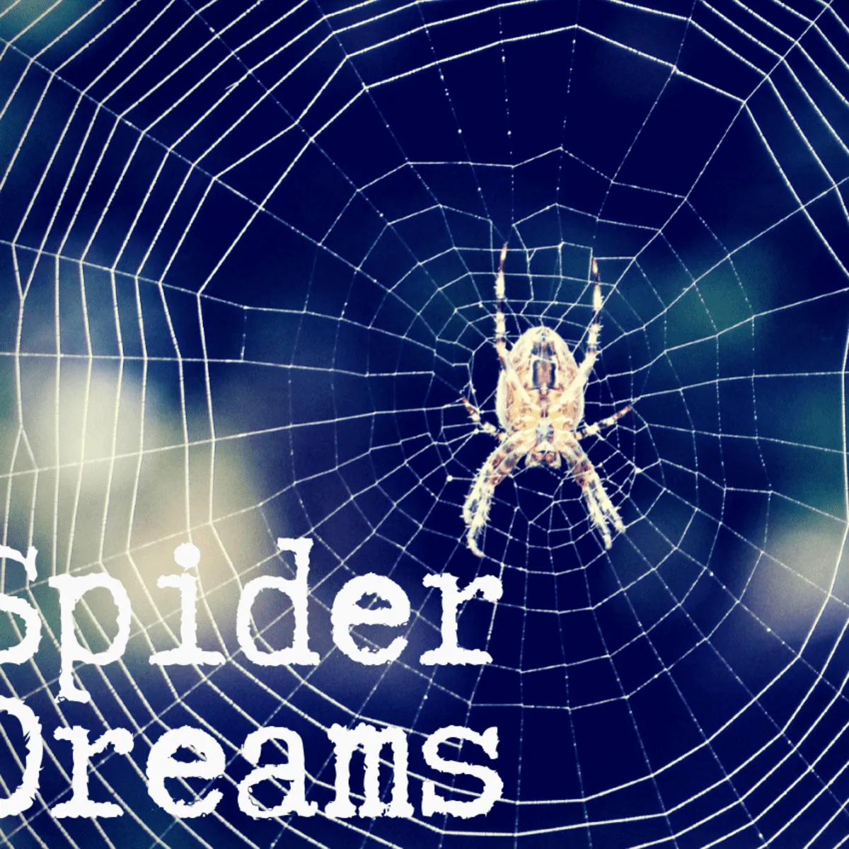 /img/21303-trapped-dream.webp