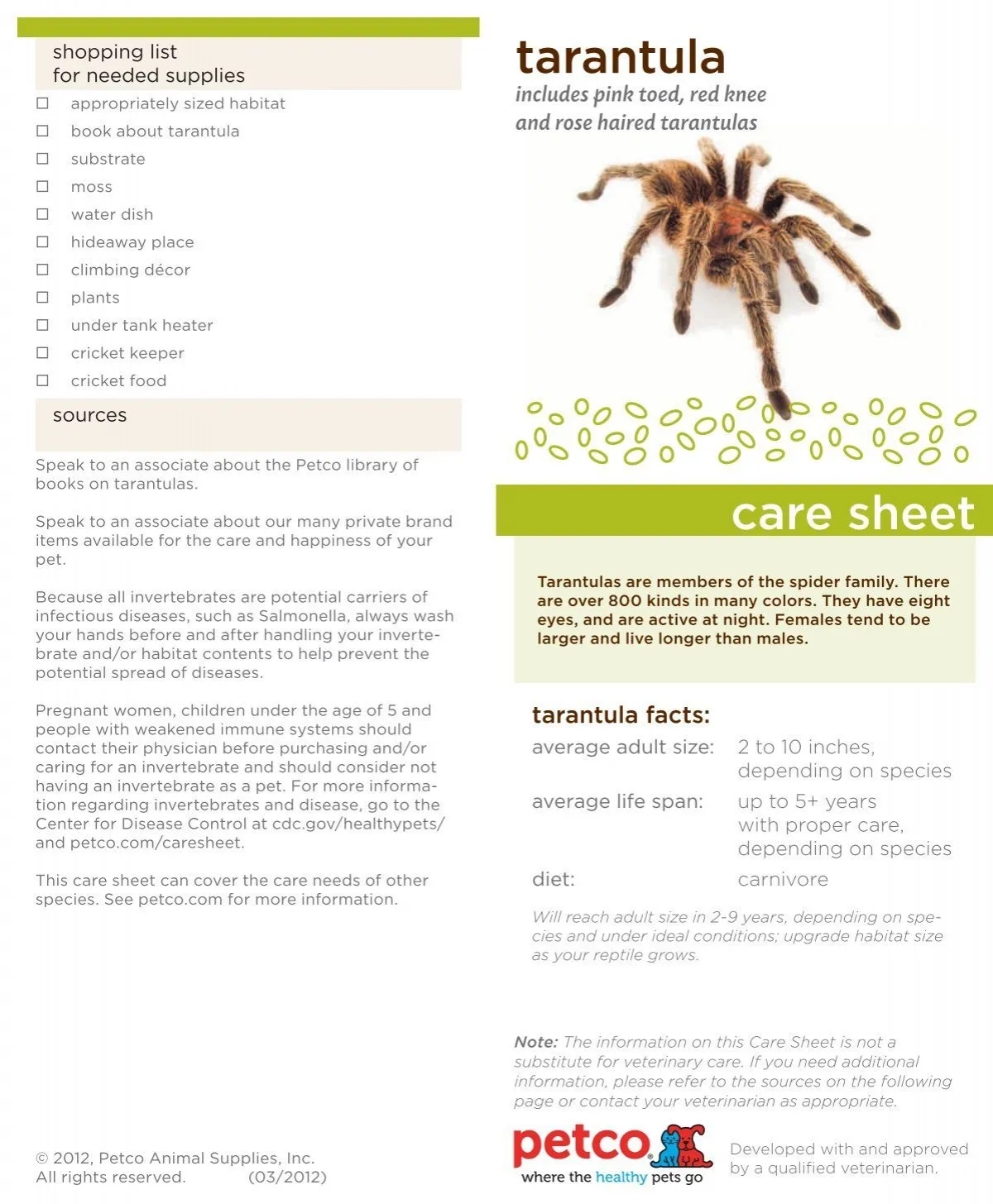 21312 merid tarantula handling