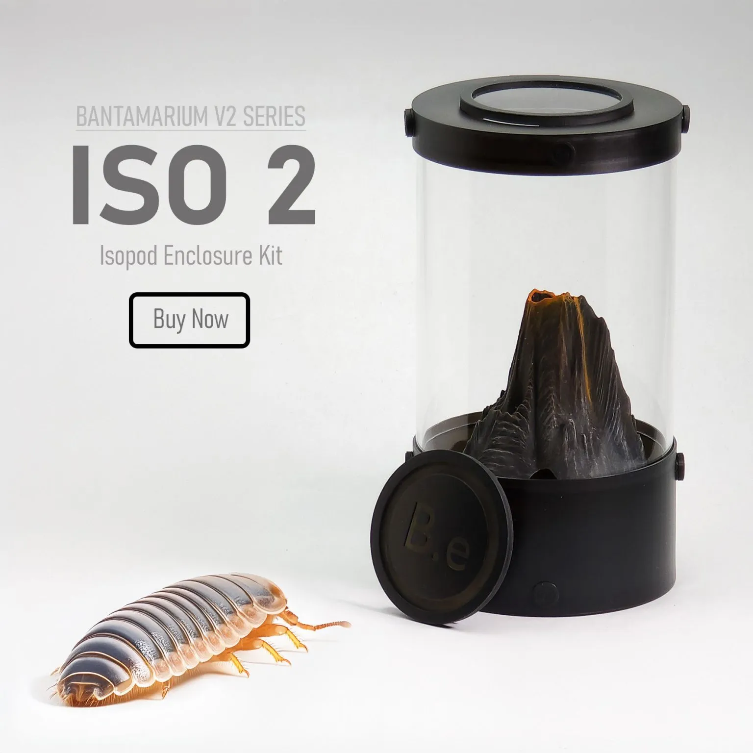 21315 tarantula enclosure with isopods