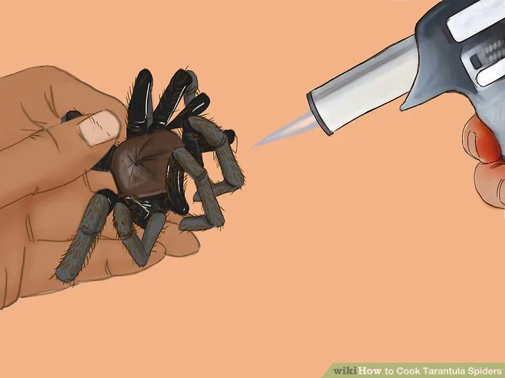 21319 tarantula spider cleaning