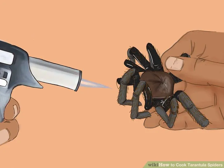21319 tarantula spider frying