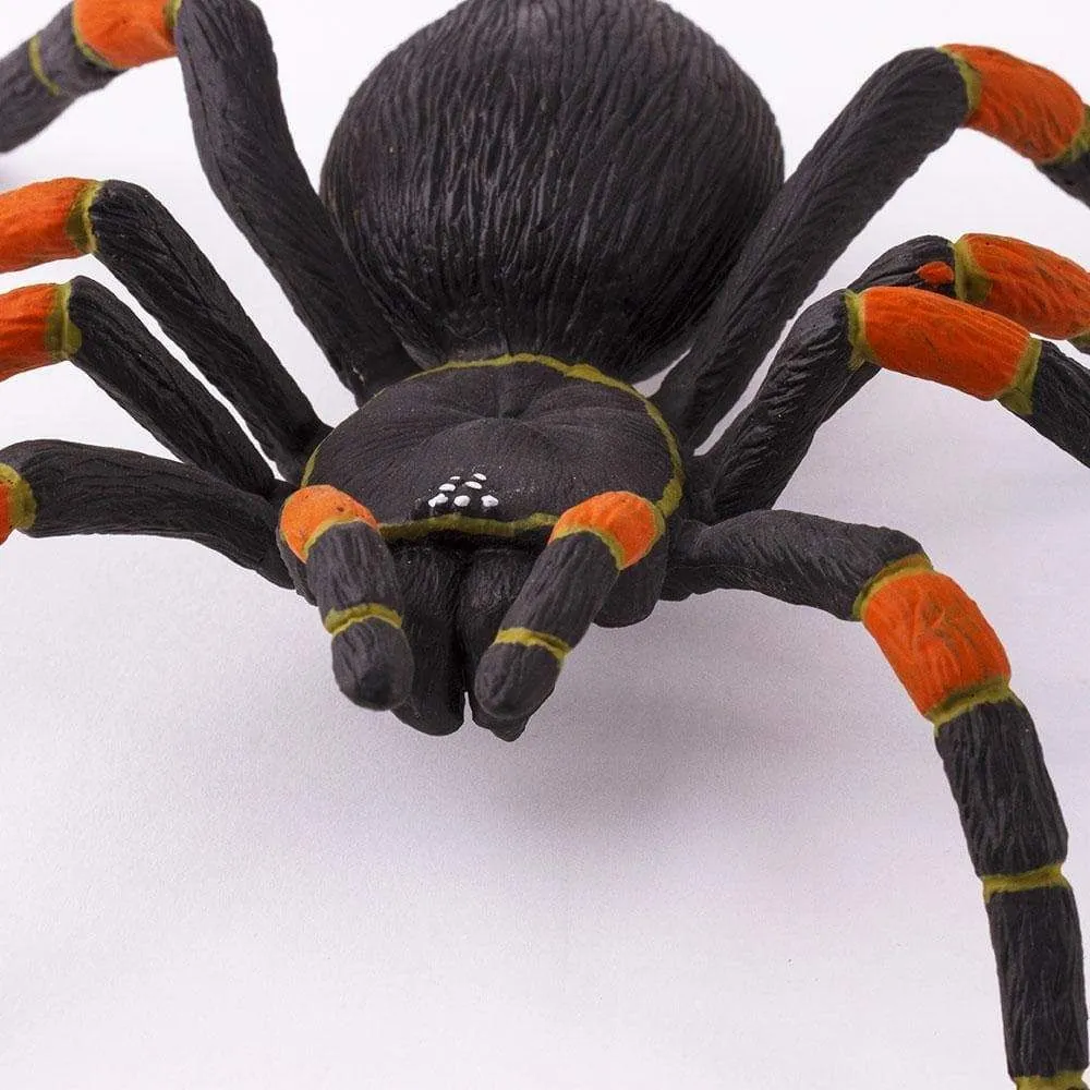 21328 orange fluff tarantula habitat