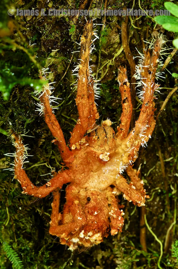 /img/21334-conservation-efforts.webp