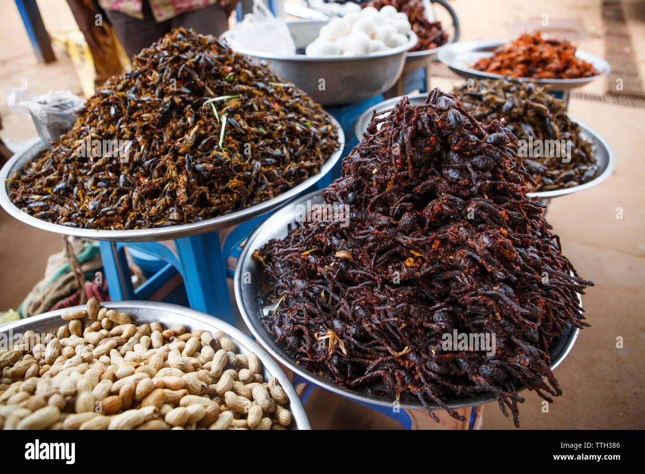 /img/21335-tarantula-meal-future.webp