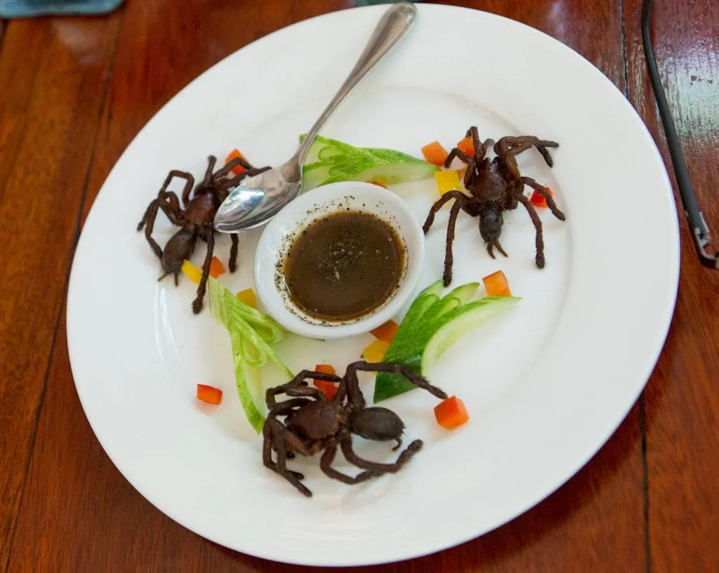 21335 tarantula meal modern