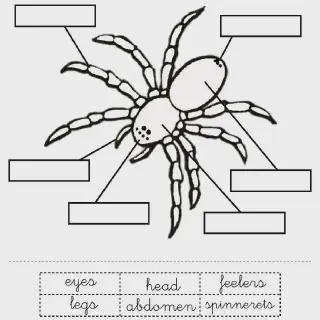 /img/21340-tarantula-wasp-mating.webp